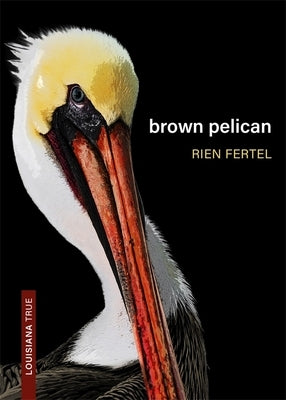 Brown Pelican by Fertel, Rien