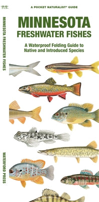 Minnesota Freshwater Fishes: A Waterproof Folding Guide to Native and Introduced Species by Morris, Matthew