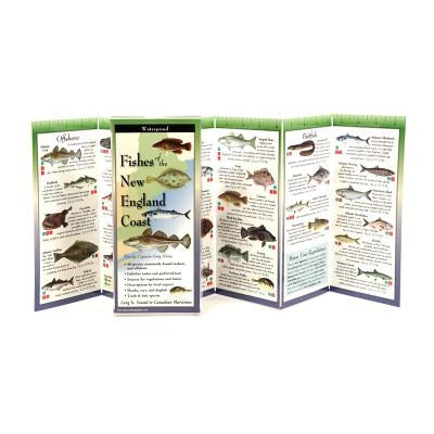 Fishes of the New England Coast by Shipp, Robert