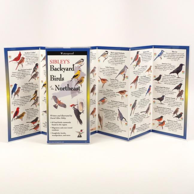 Sibley's Backyard Birds of the Northeast by Sibley, David