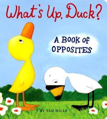 What's Up, Duck?: A Book of Opposites by Hills, Tad